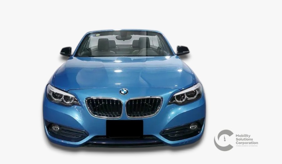 Auto 1